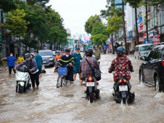 Ảnh bìa bài viết 851366