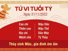 Ảnh bìa bài viết 851381