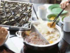 Ảnh bìa bài viết 851430