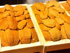 Ảnh bìa bài viết 851754