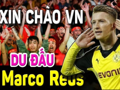 Ảnh bìa bài viết 852471