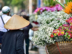 Ảnh bìa bài viết 852515