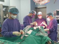 Ảnh bìa bài viết 852778