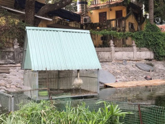 Ảnh bìa bài viết 852711