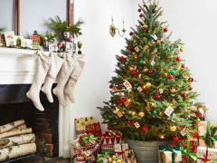 Ảnh bìa bài viết 853320