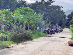 Ảnh bìa bài viết 853253