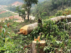 Ảnh bìa bài viết 853591