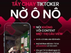 Ảnh bìa bài viết 853569