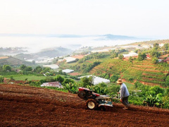 Ảnh bìa bài viết 853638