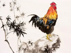 Ảnh bìa bài viết 853781