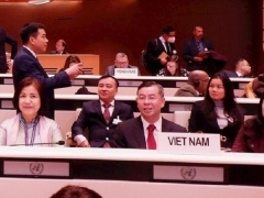 Ảnh bìa bài viết 854089