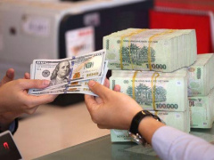 Ảnh bìa bài viết 854068
