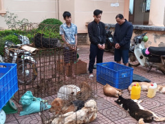 Ảnh bìa bài viết 855034