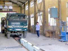 Ảnh bìa bài viết 854940