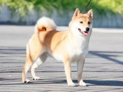 Ảnh bìa bài viết 855491