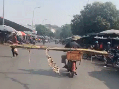 Ảnh bìa bài viết 855510