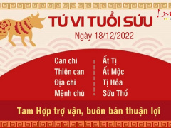 Ảnh bìa bài viết 855656