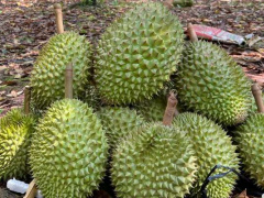 Ảnh bìa bài viết 856086