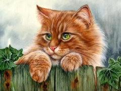 Ảnh bìa bài viết 856104