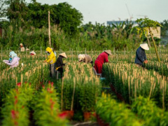Ảnh bìa bài viết 856233