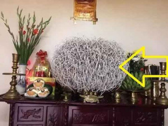 Ảnh bìa bài viết 856346
