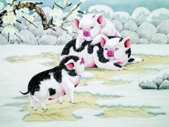 Ảnh bìa bài viết 856250