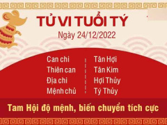 Ảnh bìa bài viết 856499
