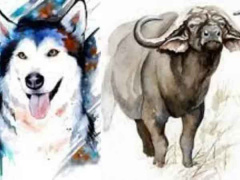 Ảnh bìa bài viết 857677