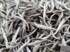 Ảnh bìa bài viết 857857