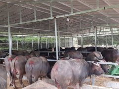 Ảnh bìa bài viết 857957