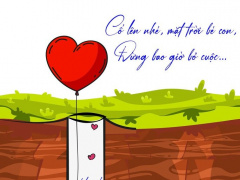 Ảnh bìa bài viết 858038