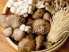 Ảnh bìa bài viết 858131
