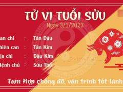 Ảnh bìa bài viết 857983
