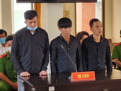 Ảnh bìa bài viết 858476