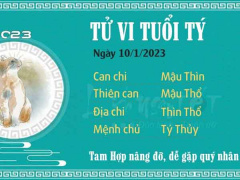 Ảnh bìa bài viết 859099
