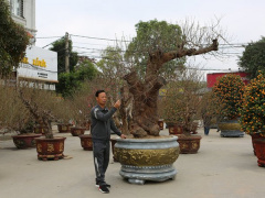 Ảnh bìa bài viết 859360