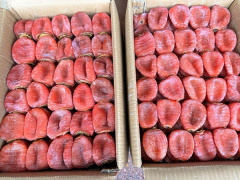 Ảnh bìa bài viết 859467