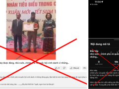 Ảnh bìa bài viết 859854