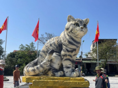 Ảnh bìa bài viết 860066