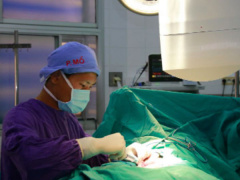Ảnh bìa bài viết 860376