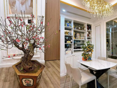 Ảnh bìa bài viết 860556