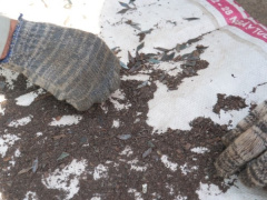 Ảnh bìa bài viết 860624