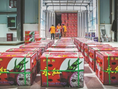Ảnh bìa bài viết 860947