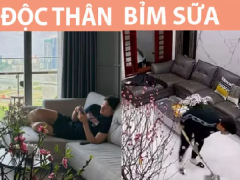 Ảnh bìa bài viết 861133