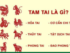Ảnh bìa bài viết 861180