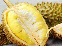 Ảnh bìa bài viết 861473