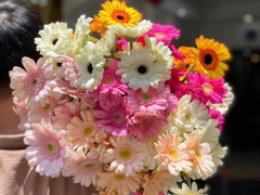 Ảnh bìa bài viết 861734