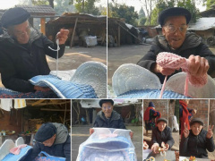 Ảnh bìa bài viết 862098