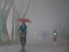 Ảnh bìa bài viết 862327