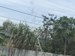 Ảnh bìa bài viết 862598